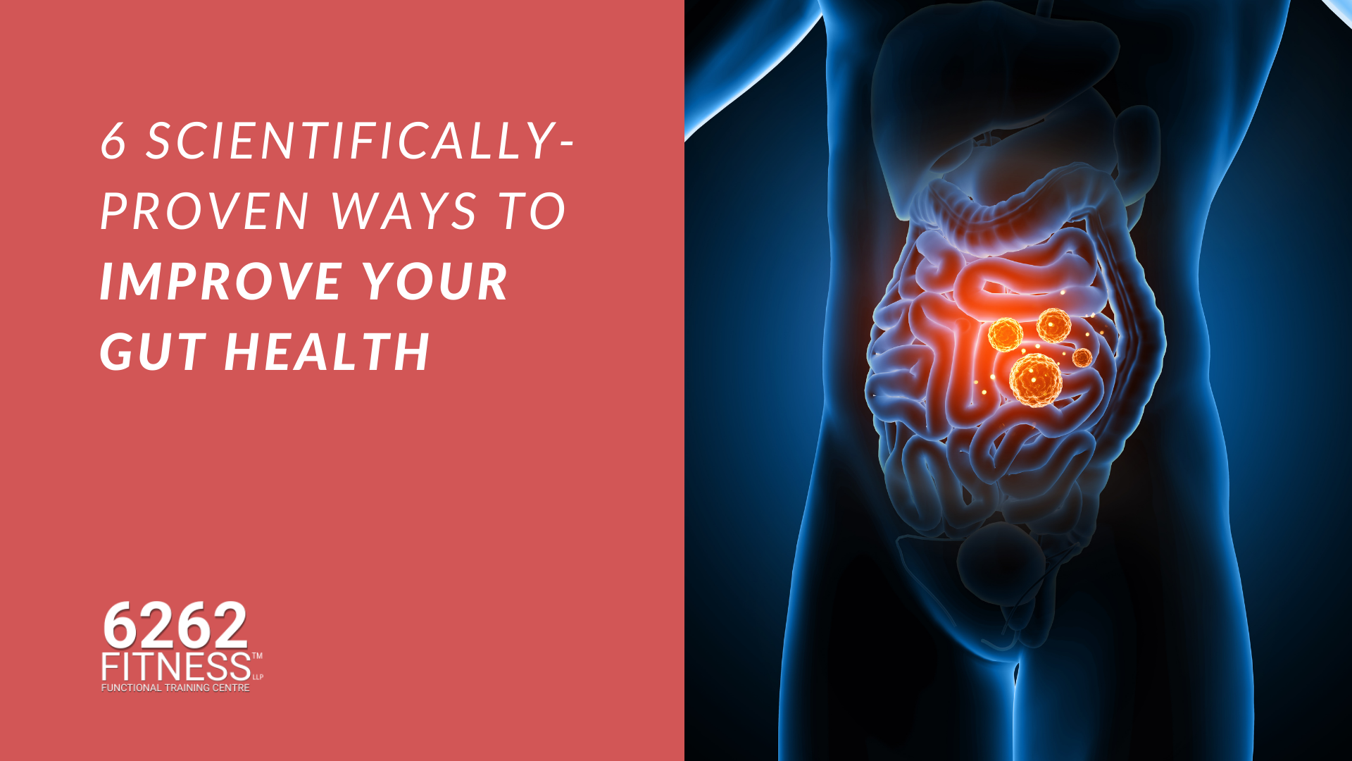 6 scientifically-proven ways to improve your gut health